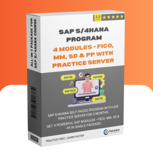 All-in-1 SAP S/4HANA Program